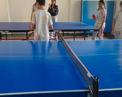  Table-Tennis-Competition